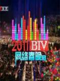 北京卫视2011BTV网络春晚