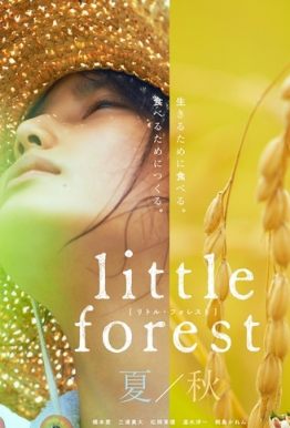 小森林夏秋篇/Little Forest Summer Autumn